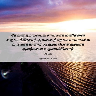 Picture 06 - ஆதியாகமம் 1:27 TAMIRV - தேவன் தம்முடைய - Bible Verse Picture