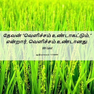 Picture 06 - ஆதியாகமம் 1:3 TAMIRV - தேவன் “வெளிச்சம் - Bible Verse Picture