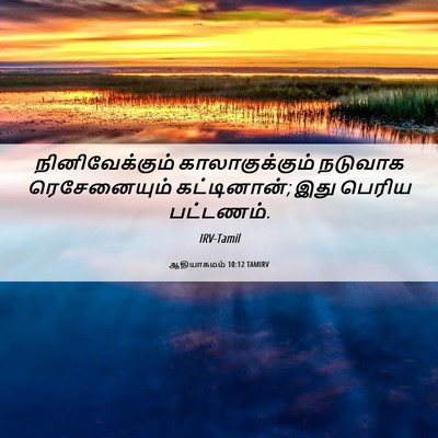 Picture 06 - ஆதியாகமம் 10:12 TAMIRV - நினிவேக்கும் - Bible Verse Picture