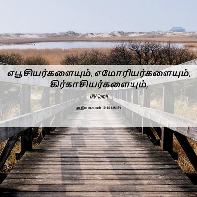 Picture 06 - ஆதியாகமம் 10:16 TAMIRV - எபூசியர்களையும், - Bible Verse Picture