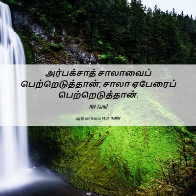 Picture 06 - ஆதியாகமம் 10:24 TAMIRV - அர்பக்சாத் - Bible Verse Picture
