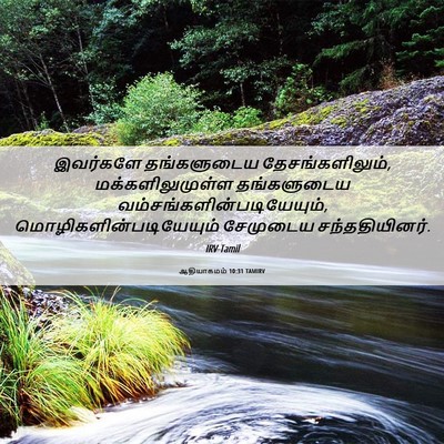 Picture 06 - ஆதியாகமம் 10:31 TAMIRV - இவர்களே தங்களுடைய - Bible Verse Picture
