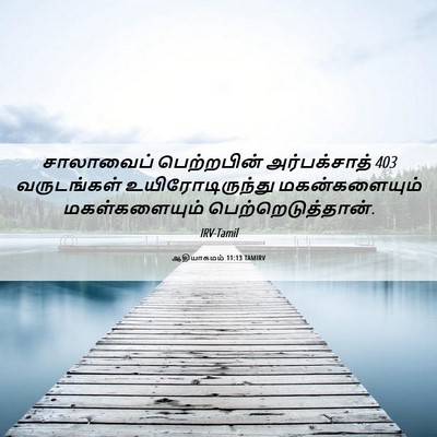 Picture 06 - ஆதியாகமம் 11:13 TAMIRV - சாலாவைப் - Bible Verse Picture
