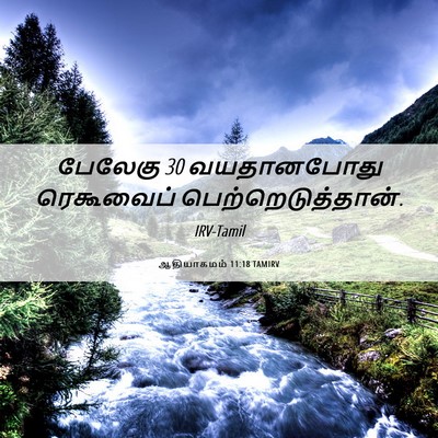 Picture 06 - ஆதியாகமம் 11:18 TAMIRV - பேலேகு 30 வயதானபோது - Bible Verse Picture