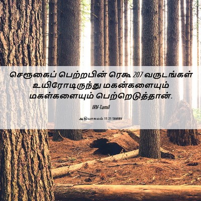 Picture 06 - ஆதியாகமம் 11:21 TAMIRV - செரூகைப் - Bible Verse Picture