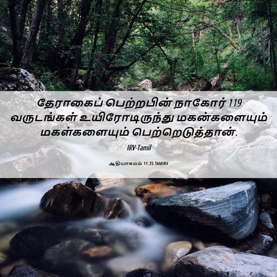Picture 06 - ஆதியாகமம் 11:25 TAMIRV - தேராகைப் - Bible Verse Picture