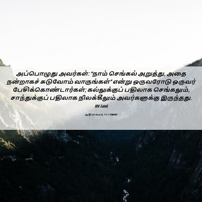 Picture 06 - ஆதியாகமம் 11:3 TAMIRV - அப்பொழுது - Bible Verse Picture