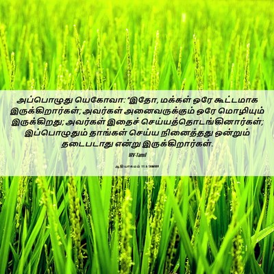 Picture 06 - ஆதியாகமம் 11:6 TAMIRV - அப்பொழுது யெகோவா: - Bible Verse Picture
