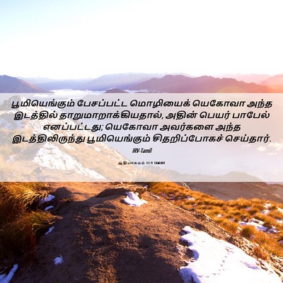 Picture 06 - ஆதியாகமம் 11:9 TAMIRV - பூமியெங்கும் - Bible Verse Picture
