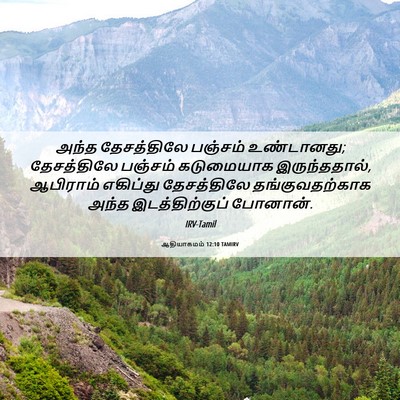 Picture 06 - ஆதியாகமம் 12:10 TAMIRV - அந்த தேசத்திலே - Bible Verse Picture