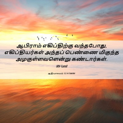 Picture 06 - ஆதியாகமம் 12:14 TAMIRV - ஆபிராம் - Bible Verse Picture