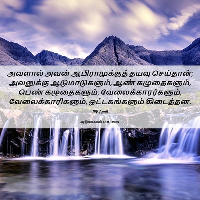 Picture 06 - ஆதியாகமம் 12:16 TAMIRV - அவளால் அவன் - Bible Verse Picture