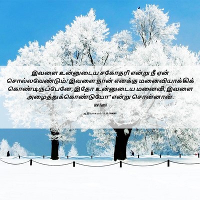 Picture 06 - ஆதியாகமம் 12:19 TAMIRV - இவளை உன்னுடைய - Bible Verse Picture
