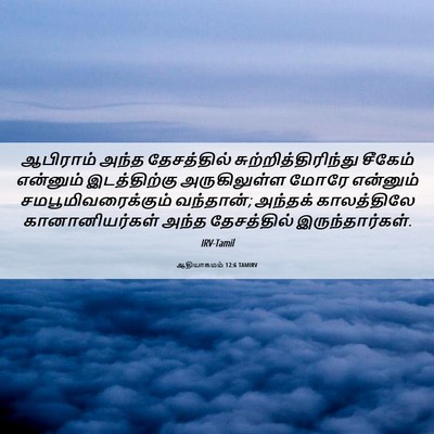Picture 06 - ஆதியாகமம் 12:6 TAMIRV - ஆபிராம் அந்த - Bible Verse Picture