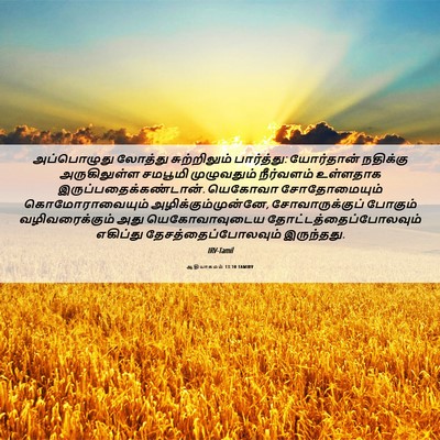 Picture 06 - ஆதியாகமம் 13:10 TAMIRV - அப்பொழுது லோத்து - Bible Verse Picture