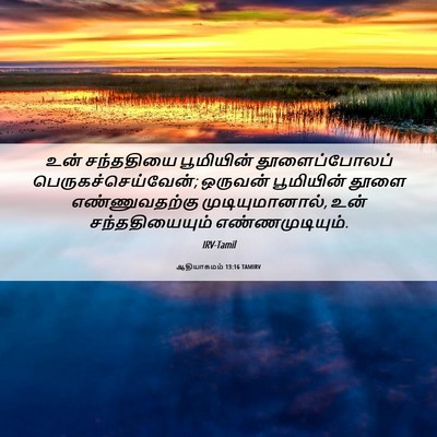 Picture 06 - ஆதியாகமம் 13:16 TAMIRV - உன் சந்ததியை - Bible Verse Picture