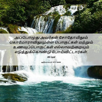 Picture 06 - ஆதியாகமம் 14:11 TAMIRV - அப்பொழுது அவர்கள் - Bible Verse Picture