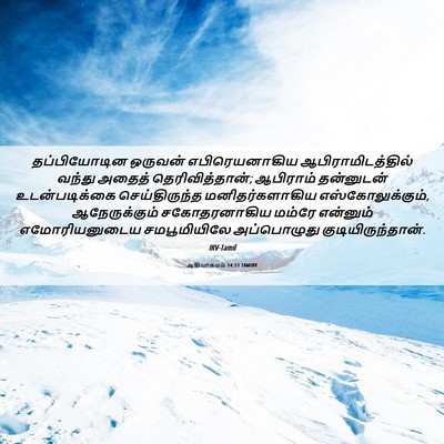 Picture 06 - ஆதியாகமம் 14:13 TAMIRV - தப்பியோடின ஒருவன் - Bible Verse Picture