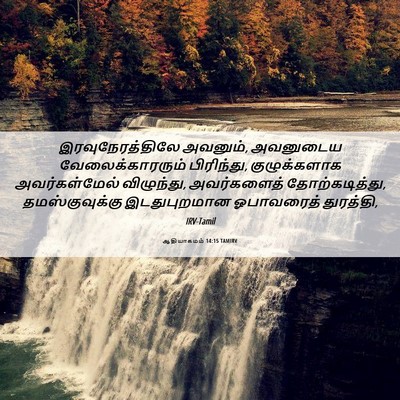 Picture 06 - ஆதியாகமம் 14:15 TAMIRV - இரவுநேரத்திலே - Bible Verse Picture