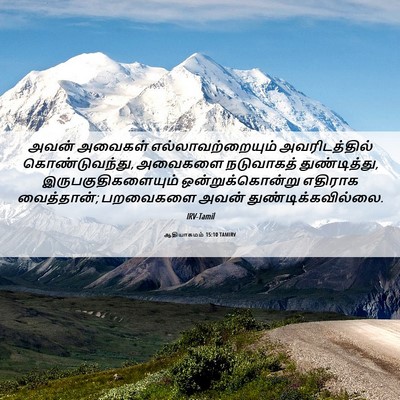 Picture 06 - ஆதியாகமம் 15:10 TAMIRV - அவன் அவைகள் - Bible Verse Picture