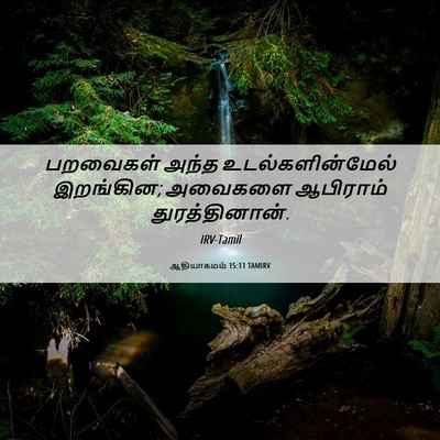 Picture 06 - ஆதியாகமம் 15:11 TAMIRV - பறவைகள் அந்த - Bible Verse Picture