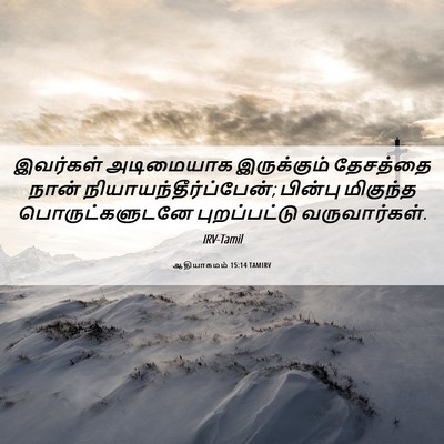 Picture 06 - ஆதியாகமம் 15:14 TAMIRV - இவர்கள் அடிமையாக - Bible Verse Picture