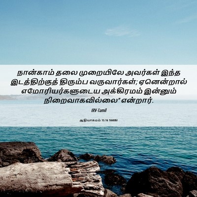 Picture 06 - ஆதியாகமம் 15:16 TAMIRV - நான்காம் தலை - Bible Verse Picture