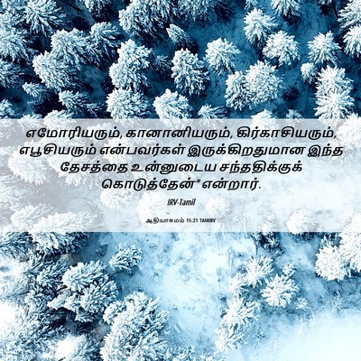 Picture 06 - ஆதியாகமம் 15:21 TAMIRV - எமோரியரும், - Bible Verse Picture