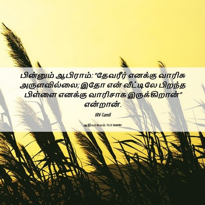 Picture 06 - ஆதியாகமம் 15:3 TAMIRV - பின்னும் ஆபிராம்: - Bible Verse Picture