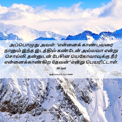 Picture 06 - ஆதியாகமம் 16:13 TAMIRV - அப்பொழுது அவள்: - Bible Verse Picture