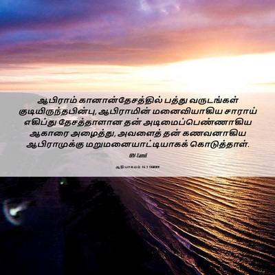 Picture 06 - ஆதியாகமம் 16:3 TAMIRV - ஆபிராம் - Bible Verse Picture