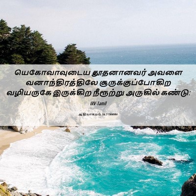 Picture 06 - ஆதியாகமம் 16:7 TAMIRV - யெகோவாவுடைய - Bible Verse Picture