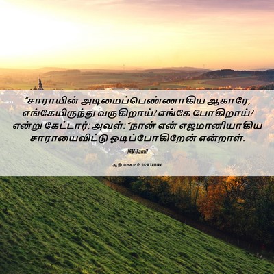 Picture 06 - ஆதியாகமம் 16:8 TAMIRV - “சாராயின் - Bible Verse Picture