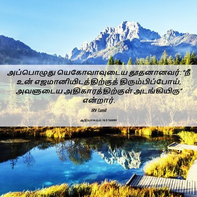 Picture 06 - ஆதியாகமம் 16:9 TAMIRV - அப்பொழுது - Bible Verse Picture
