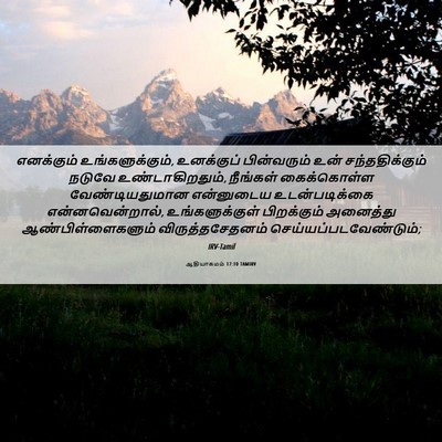 Picture 06 - ஆதியாகமம் 17:10 TAMIRV - எனக்கும் - Bible Verse Picture