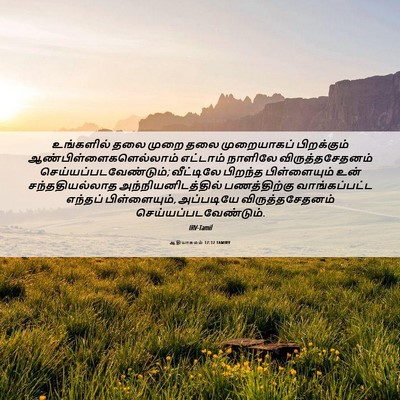 Picture 06 - ஆதியாகமம் 17:12 TAMIRV - உங்களில் தலை முறை - Bible Verse Picture