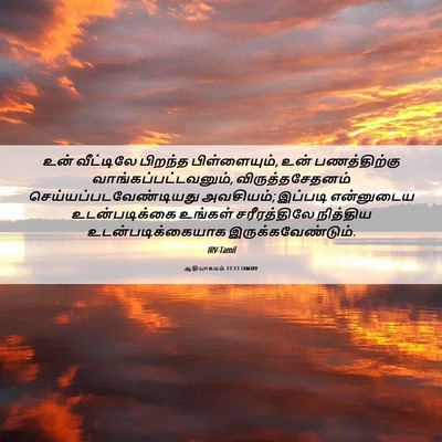 Picture 06 - ஆதியாகமம் 17:13 TAMIRV - உன் வீட்டிலே - Bible Verse Picture