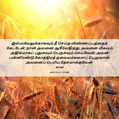 Picture 06 - ஆதியாகமம் 17:20 TAMIRV -  - Bible Verse Picture