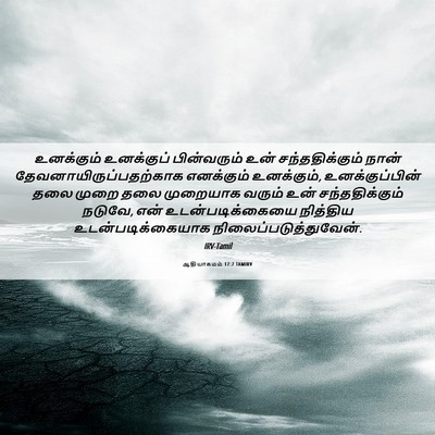 Picture 06 - ஆதியாகமம் 17:7 TAMIRV - உனக்கும் உனக்குப் - Bible Verse Picture