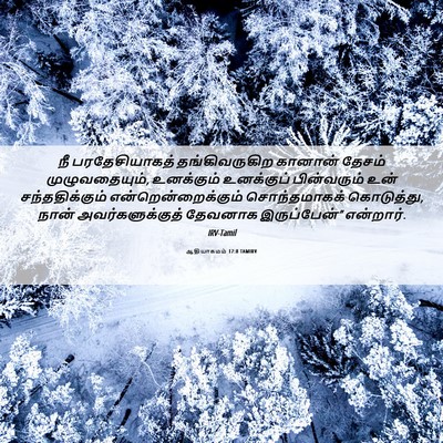 Picture 06 - ஆதியாகமம் 17:8 TAMIRV - நீ பரதேசியாகத் - Bible Verse Picture