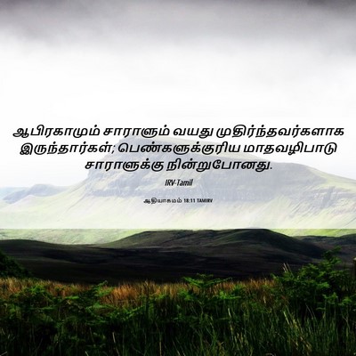 Picture 06 - ஆதியாகமம் 18:11 TAMIRV - ஆபிரகாமும் - Bible Verse Picture