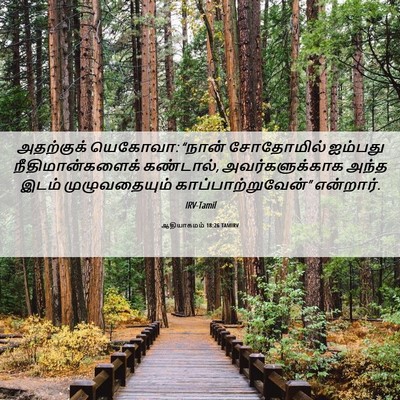 Picture 06 - ஆதியாகமம் 18:26 TAMIRV - அதற்குக் யெகோவா: - Bible Verse Picture