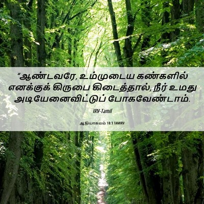 Picture 06 - ஆதியாகமம் 18:3 TAMIRV - “ஆண்டவரே, - Bible Verse Picture