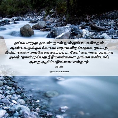 Picture 06 - ஆதியாகமம் 18:30 TAMIRV - அப்பொழுது அவன்: - Bible Verse Picture