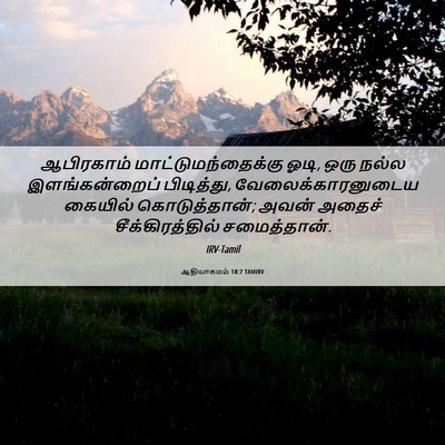 Picture 06 - ஆதியாகமம் 18:7 TAMIRV - ஆபிரகாம் - Bible Verse Picture