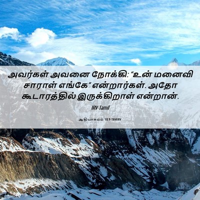 Picture 06 - ஆதியாகமம் 18:9 TAMIRV - அவர்கள் அவனை - Bible Verse Picture