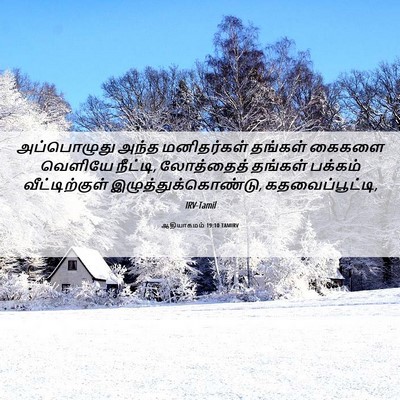 Picture 06 - ஆதியாகமம் 19:10 TAMIRV - அப்பொழுது அந்த - Bible Verse Picture