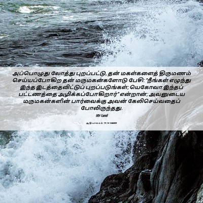 Picture 06 - ஆதியாகமம் 19:14 TAMIRV - அப்பொழுது லோத்து - Bible Verse Picture