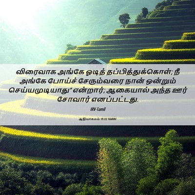 Picture 06 - ஆதியாகமம் 19:22 TAMIRV - விரைவாக அங்கே - Bible Verse Picture