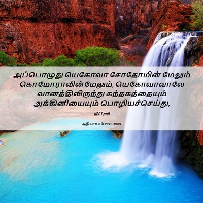 Picture 06 - ஆதியாகமம் 19:24 TAMIRV - அப்பொழுது யெகோவா - Bible Verse Picture
